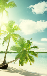 Vacations Travel